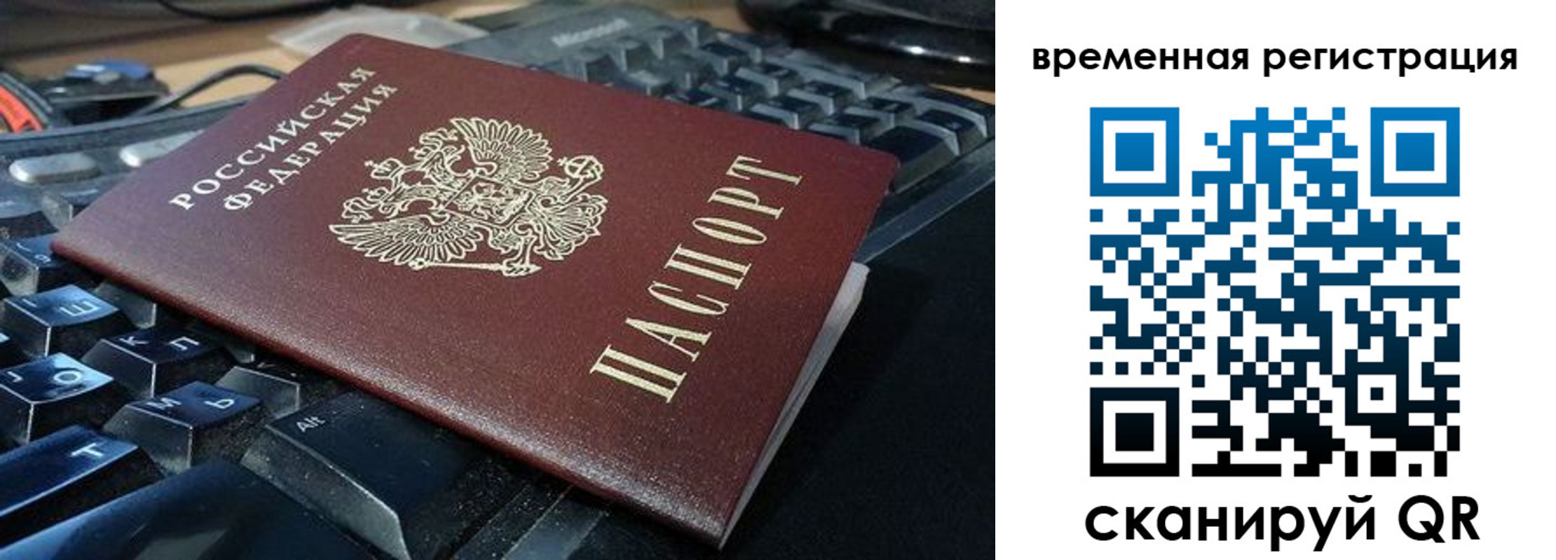 прописка для школы в Вольске